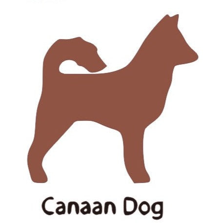 Canaan Dog Wooden Bone Shaped Lead Holder or Key Holder