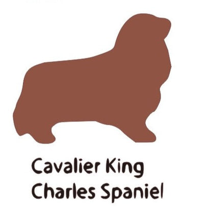 Cavalier King Chas Spaniel Wooden Bone Shaped Lead Holder or Key Holder