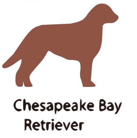 Chesapeake Bay Retriever Wooden Bone Shaped Lead Holder or Key Holder