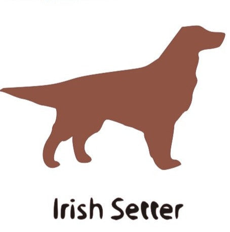 Irish Setter Wooden Bone Shaped Lead Holder or Key Holder